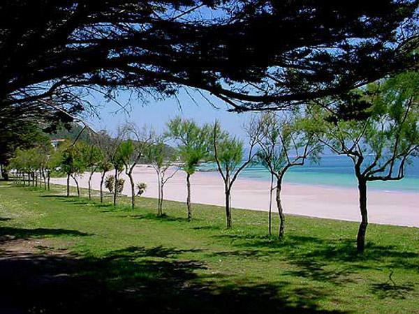 San Francisco  Hostal Solymar מראה חיצוני תמונה